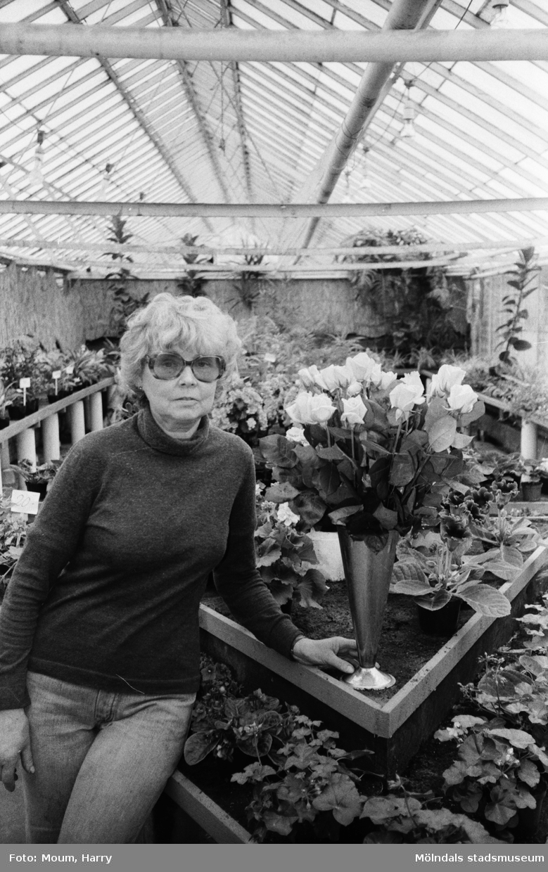 "Maj-Britt Karlström beundrar de fina Sonja-rosorna, som nu blommar." Blomsterodling i Kållered, år 1983.

För mer information om bilden se under tilläggsinformation.
