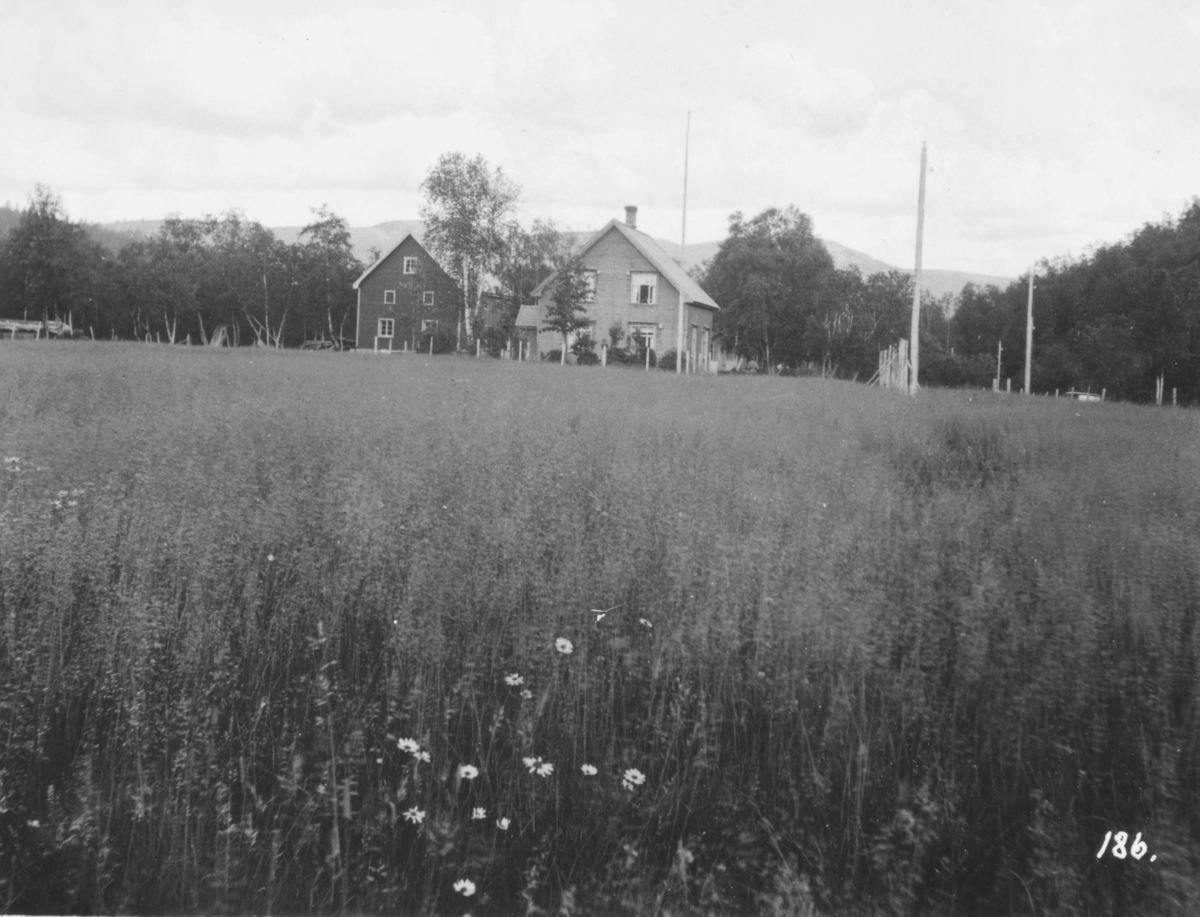 Stortingets Jordbrukskomite foretok en reise i Finnmark i 1935.  Kleppe var medlem av komiteen og ga bildene fra turen i gave til fylkesmann Gabrielsen etter krigen. Dette bildet viser Skjeragent gård i Alta, med frodige enger foran våningshuset.