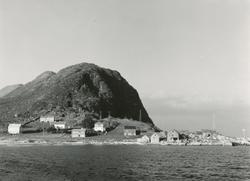 Prospektfotografi av bebyggelsen på Valkvæ, Godøy. Tatt fra 