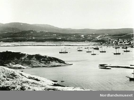 Rønvik og Bodø tatt fra Hjertøya, flere galeaser og jekter på havna, Rønvikleira.