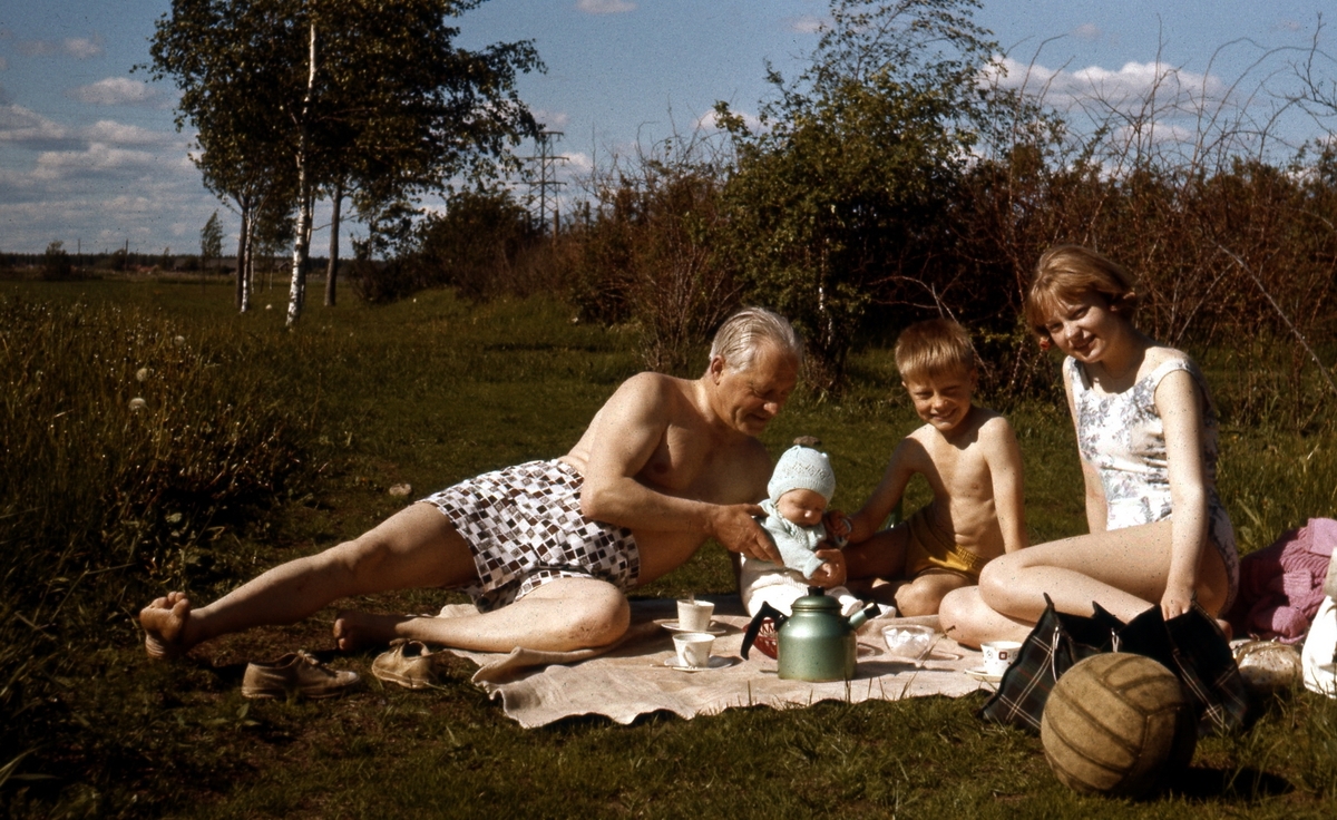 Familjen Borg, 1962.