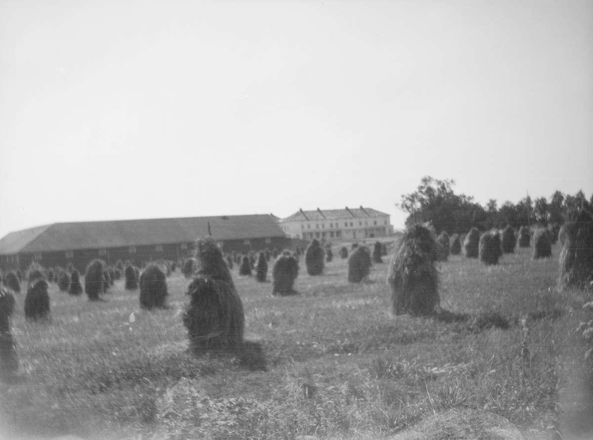 Høystakker i rader på jordet foran bebyggelsen på Linderud Gård. Bildet et tatt etter høyonna.