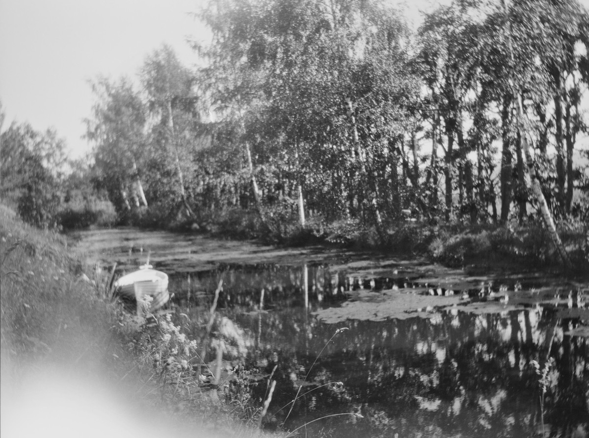 En robåt på en liten og  avlang dam med grønske på vannoverflaten, i hageanlegget på Linderud Gård. Bjørk og andre lautrær vokser ved bredden av dammen særlig på den ene siden.