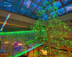 Fra utstillingen «Det fantastiske treet» på Norsk Skogmuseum