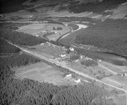 Brennhaug, Dovre, gårdsbruk, jordbruk, slåttonn, hesjing, ko