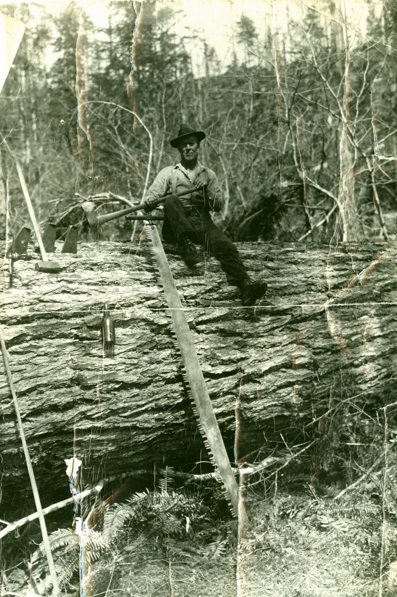 Eivind Olson Haugo på tømmerhogst i Bellingham. 1932