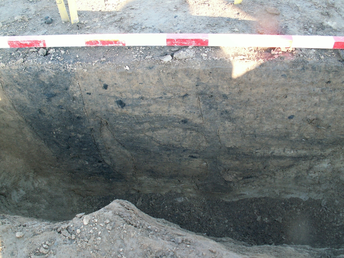 Arkeologisk slutundersökning, Raä 433, A9855 mörkfärgat lager, Fansta, Bälinge socken, Uppland, 2006