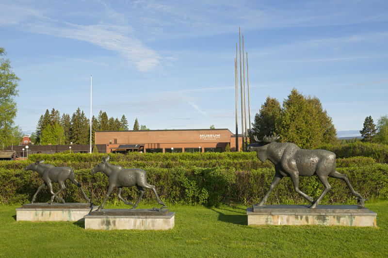 Deler av elgskulpturen ved innkjøringa til Norsk Skogmuseum 16/6 2015 (Foto/Photo)