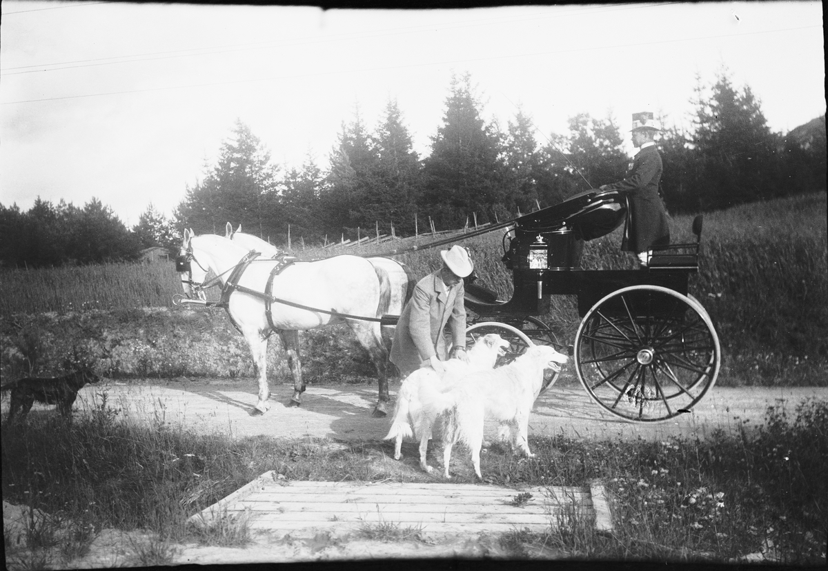 Drottning Victorias bilder. Ett ekipage av häst och vagn med körkarl, eventuellt i närheten av Tullgarn.