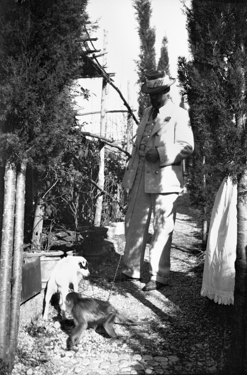 Drottning Victorias bilder. Axel Munthe (drottning Victorias läkare) i San Michele med apa och hund.