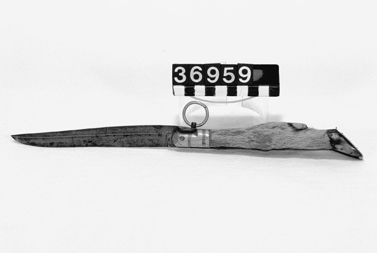 Hopfällbar jaktkniv med handtag tillverkat av en djurfot, med silverbeslag och fästring.