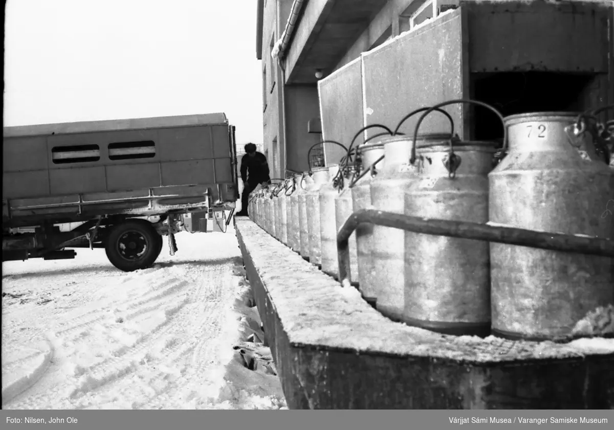 Sannsynligvis meieriet i Vadsø. Mange melkespann stablet på rekke og en melkebil som laster av eller på. 1967