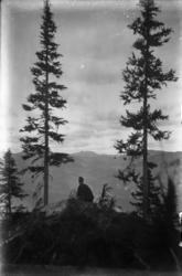 Fotosamling etter Hans Tveito. "Bildet tatt fra Bandakslid s