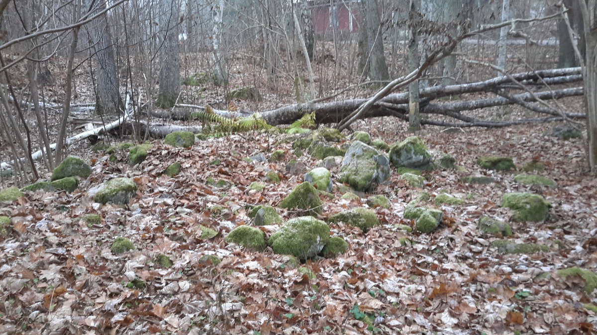 Arkeologisk kontroll, rund stensättning, gravfält 88:1, Harvik, Dannemora socken, Uppland 2015