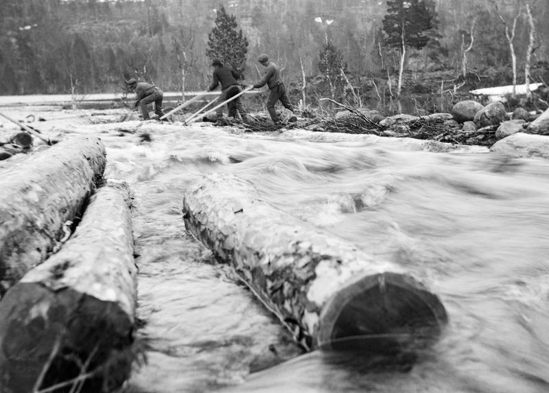 Tømmerfløting i Elgåa (Foto/Photo)