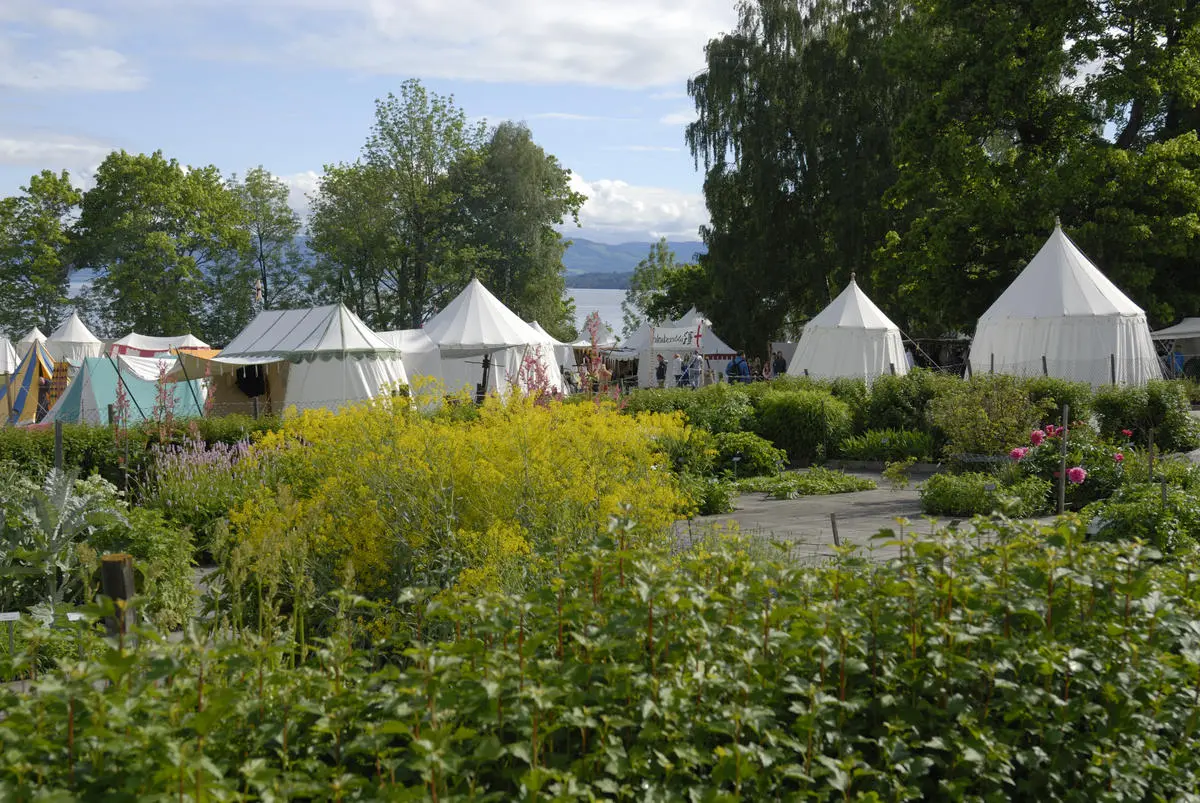 Medieval market and herb garden in front