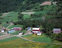 Flyfoto: Salangsdalen, Bonsaker i Bardu 1964
