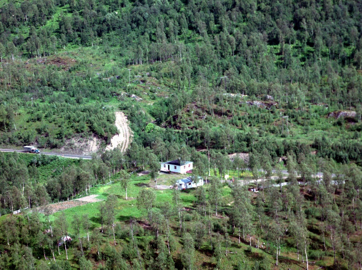Flyfoto: Salangsdalen, Skog i Bardu 1964