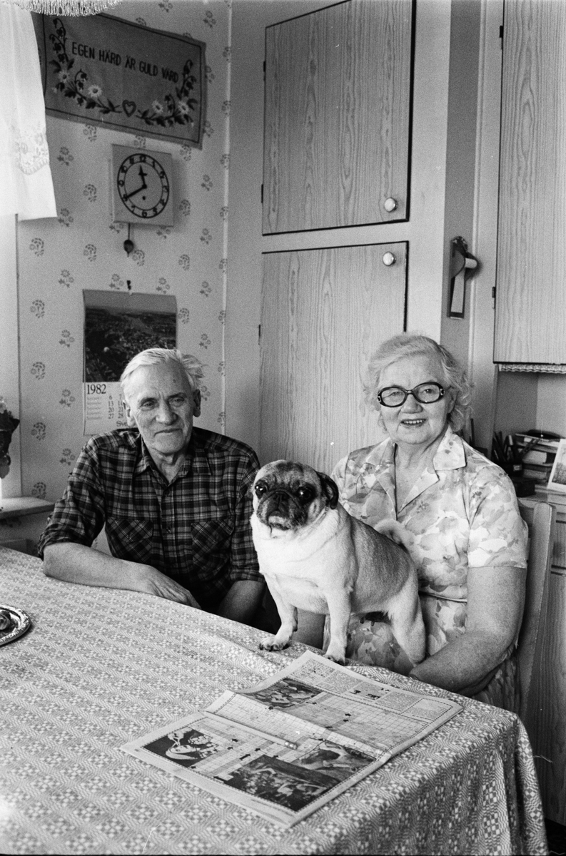 Eric Sahlström hemma i köket med frun Anna och hunden Gurkan, Göksby, Uppland 1982