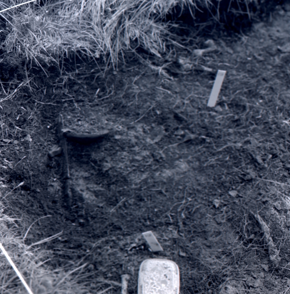 En arkeologisk fyndplats i Skedemosse 15/6 1962.