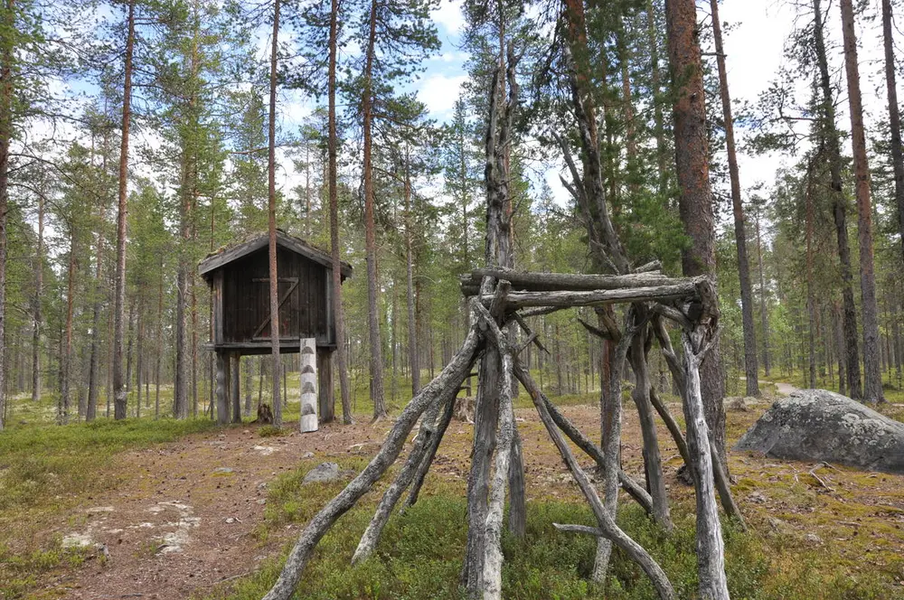 Bilde av sameboplassen i skogen på blokkodden. I bakgrunnen står buvrie(bur) på høye stolper. Foran i bildet står baalkha(hjell) til å legge kjøtt på slik at dyr ikke får tak i det.