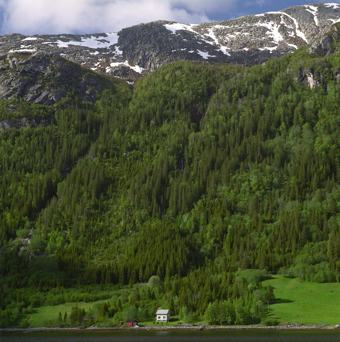 Motivet er av en grønn fjellside med et lite horisontalt element av fjord/innsjø nederst i forgrunnen, lettsnødekket fjell i bakgrunnen, og et lite horisontalt element av himmelparti øverst i bakgrunnen. Nederst, langs vannkanten sentrert i motivet er et lite rødt naust og et hvitt hus. Fjellsiden er dekket av grønn trevekst og vegetasjon.