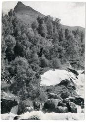 Postkort. Geirangerelven.