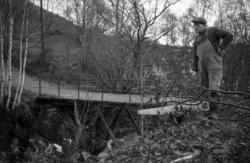 "1956"."Bibliotekmøte på Bagatelle"."Morsdag 1956"."Birøkter