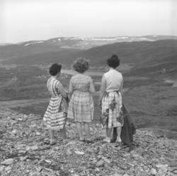 Tre damer på fjelltur ovenfor Hammerrfest. De er fra venstre