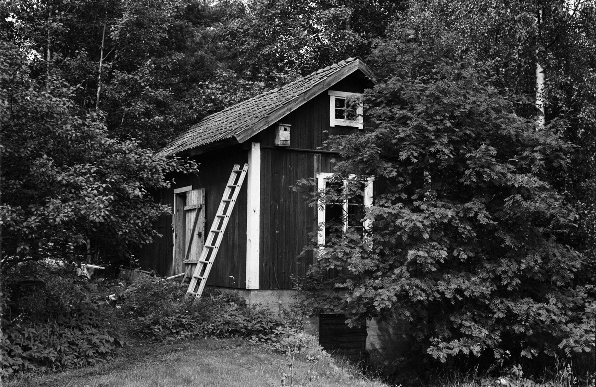 Källarstuga, Norr-Edinge 2:5, Norrlund, Tuna socken, Uppland 1987