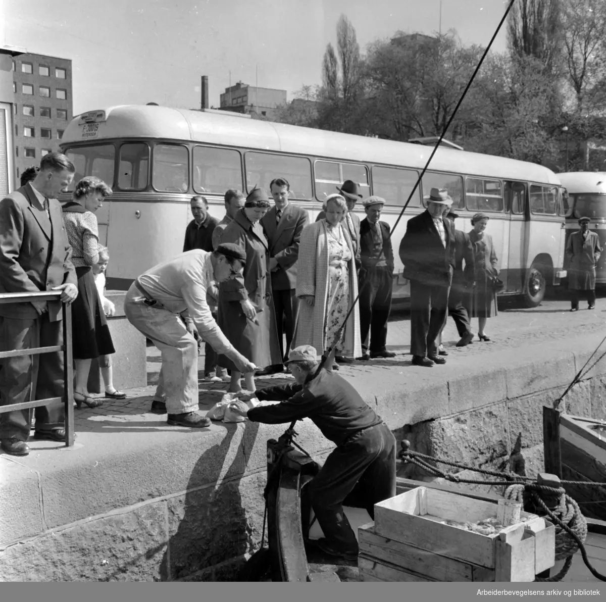 Oslo Havn: Honnørbrygga:.Fisk- og rekesalg.Mai 1958