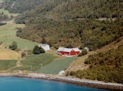 Flyfoto fra Kjørvik på Øydegard i Tingvoll kommune. Bildet e