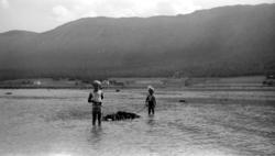 Fotografi av to barn som leker ute i vannet. De er trolig i
