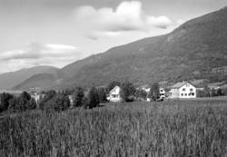 Jordbruksområder, trolig i Nesset kommune. Fra Nordmøre Muse