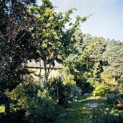 Foto fra Hasselbakken på Frei i Kristiansund kommune. Portfo