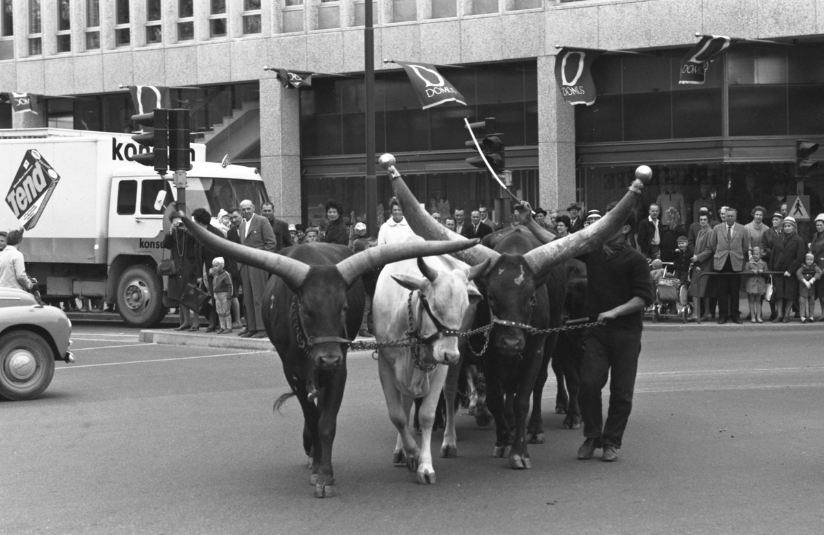 På fotografisk vandring med Bertil Ludvigsson i 1960-talet. Kommentera gärna om du vet något om bilden.