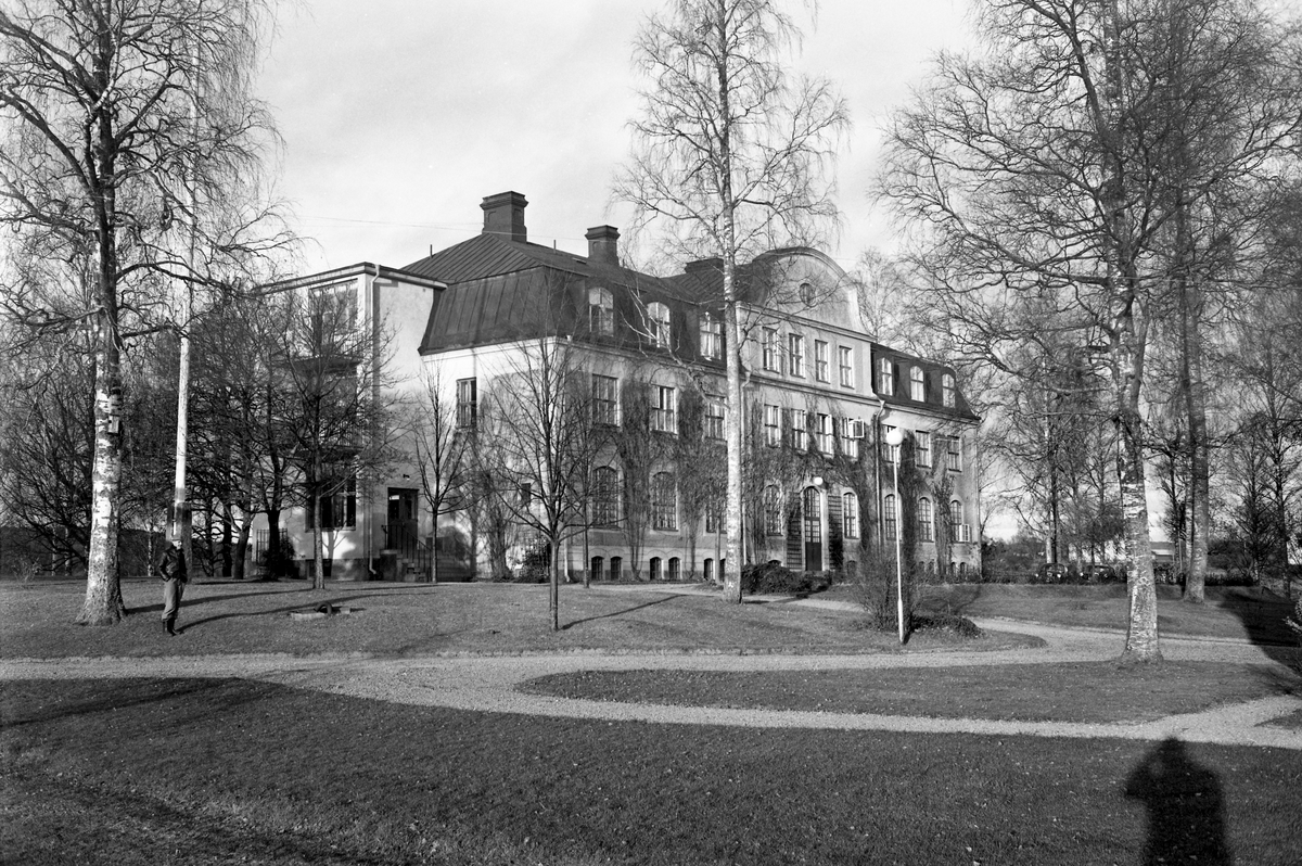 Björkåsen i Glava 1964.