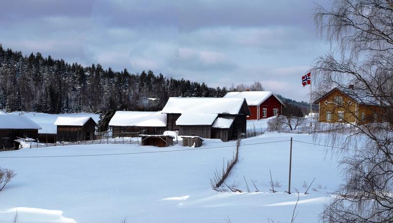 Almenninga vinter. Foto/Photo