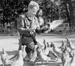 Studenterlunden, mai 1957.