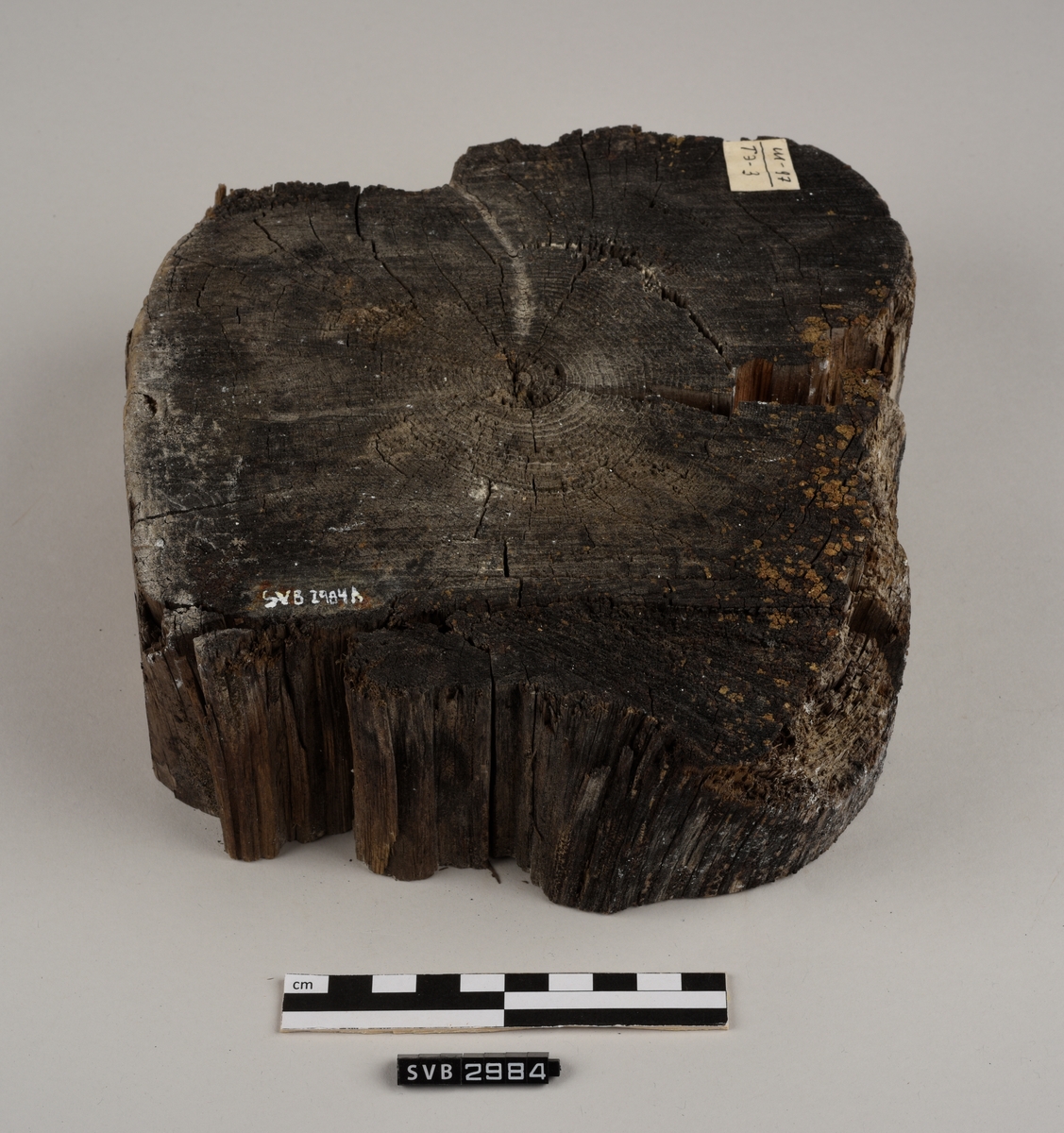 Tregjenstand med tilnærmet rundt tverrsnitt. Tremateriale er tørt og sprukkent. Det er 2 løse deler. Det er en lapp på undersiden med russiske tall og bokstaver.