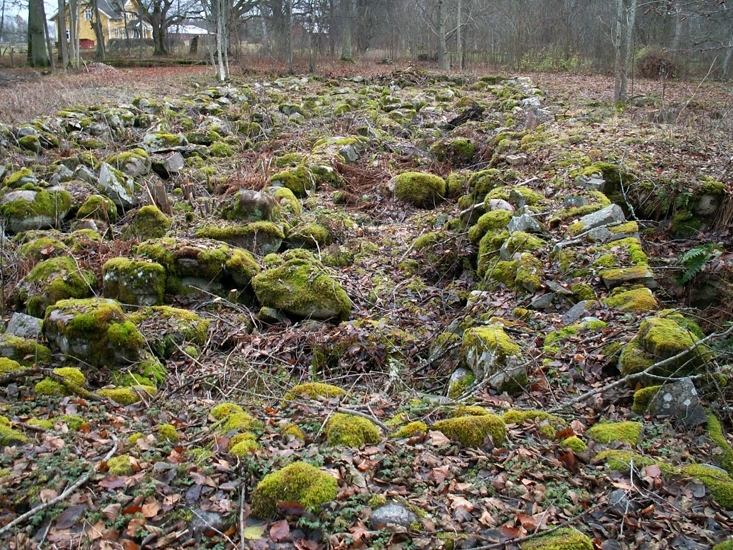 Sågverksgrund
Foto av ladgrund i en småindustrilämning, vid Vartorps kvarn.
Raä 227 f, 2008-11-12, Reg i FMIS