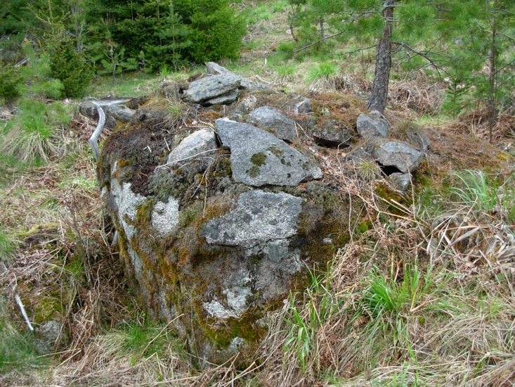 Röjningsröse
Foto av röjningsröse i fossil åker, flertalet är upplagda på eller ligger i anslutning till jordfasta block.
Raä 502 d 2010-05-19