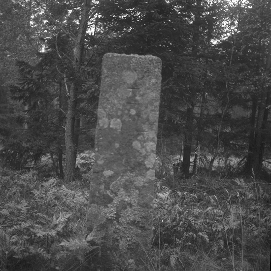Foto av en milsten, av sten med otydlig text:
" 1/4 MIL. "
1600 m V, 32 ° S om Sjösås gamla kyrka. 8 m NÖ om nya, 0,5 m SV om 
gamla vägen.  25 m NNV om skälet mellan gamla och nya vägen.
Vägen Braås-Tolg. 
Källa: Kronobergs läns väginventering 1943.