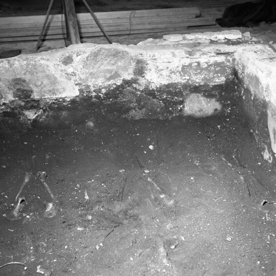 Växjö domkyrka, restaurering 1957. L3: centralgraven, skelett IV, V och VI, från V.