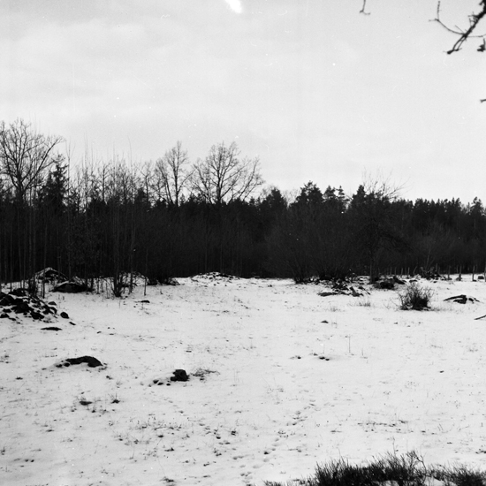 Foto av snöigt gärde. Råshult, januari 1964.