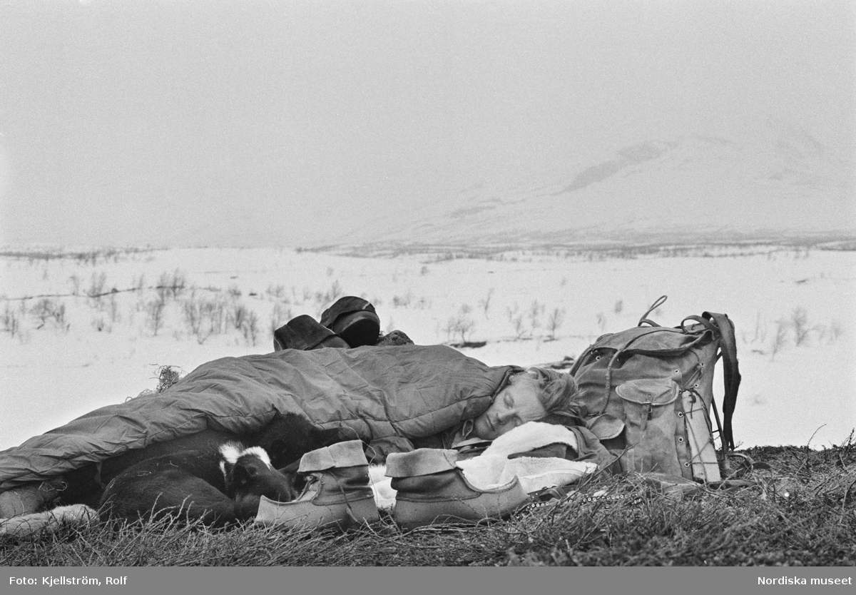 Renskötaren Nils Anders Blind vilar ut på renskinnet öster om Luokta. Huvudet vilar på ryggsäcken, vallhunden vid husses sida. Tuorpons sameby, Jokkmokks socken i Lappland.