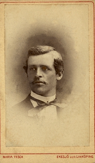 Porträtt (vinjettbild, halvprofil) av en okänd man med mustascher, klädd i kavaj och vit skjorta med stärkkrage och spännhalsduk/fluga.