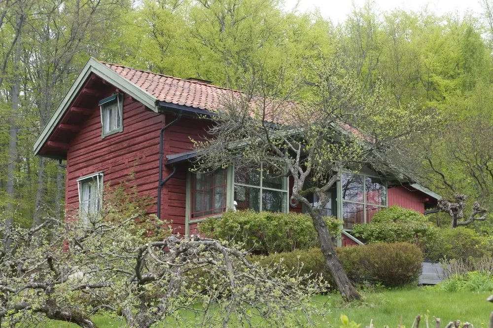 Et rødt hus med frukttrær utenfor. 