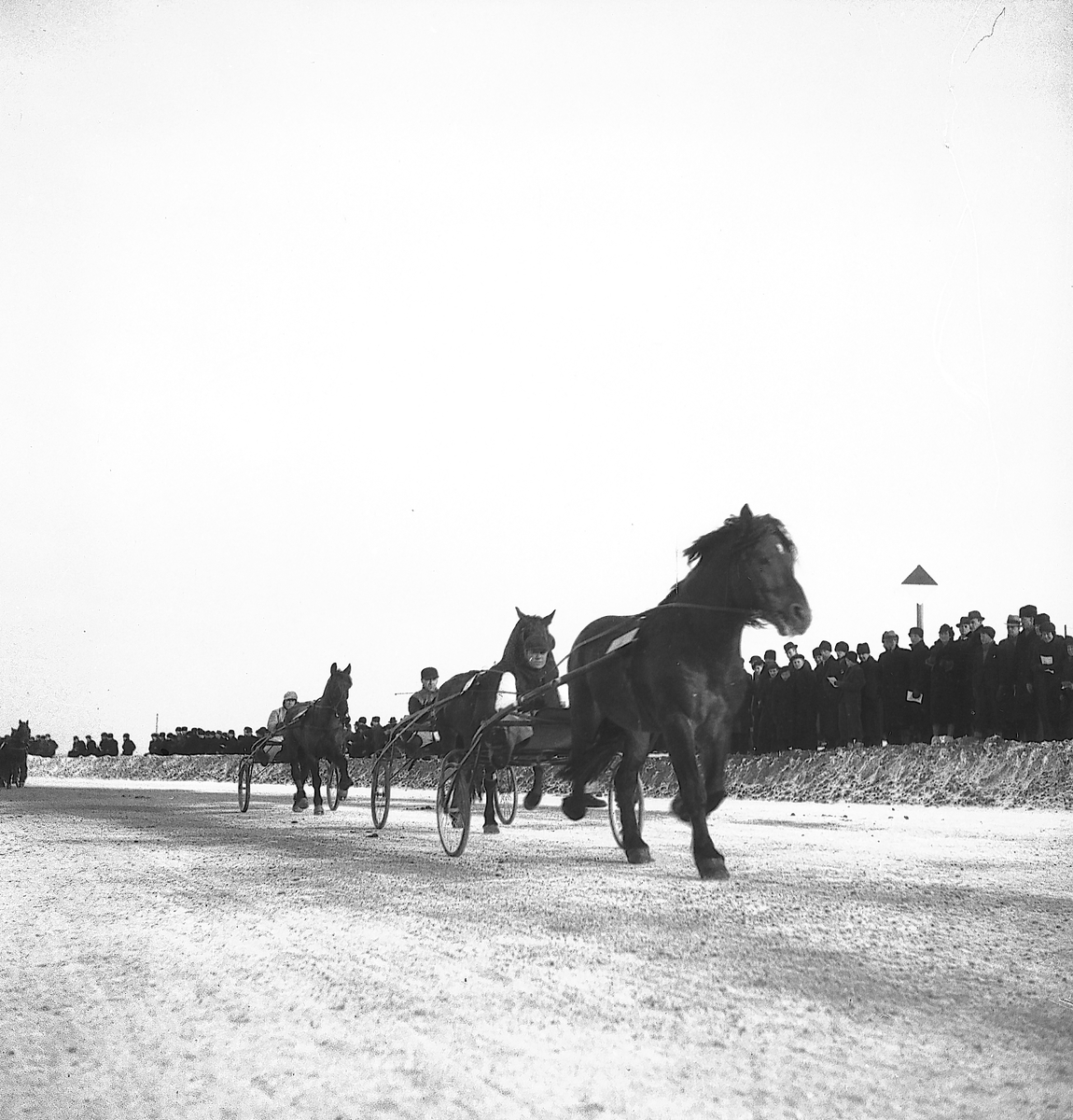 År 1937. Gefle-Dala Travbana. Häst. Reportage för Gefle Dagblad