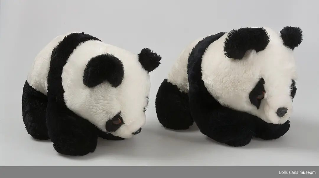 Pandabjörnar, svart/vita.